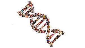 Blog_ -_JAMA_Grossman_DNA_precision_population_health_ -_1_column.jpg