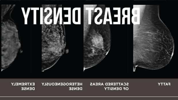 Breast-cancer-screening_breast-density_2col.jpg